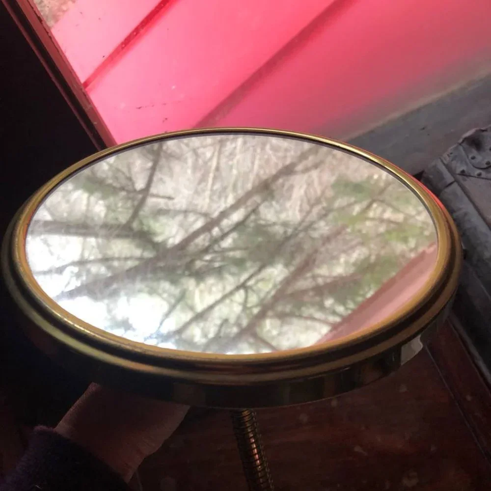 Vintage 2 Mirrors Rare Swan Neck One Side Magnified